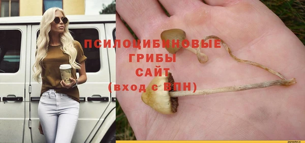 кокс Нея