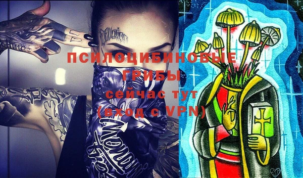 марки lsd Новозыбков