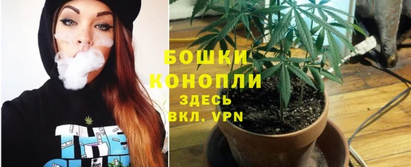 кокс Новокубанск