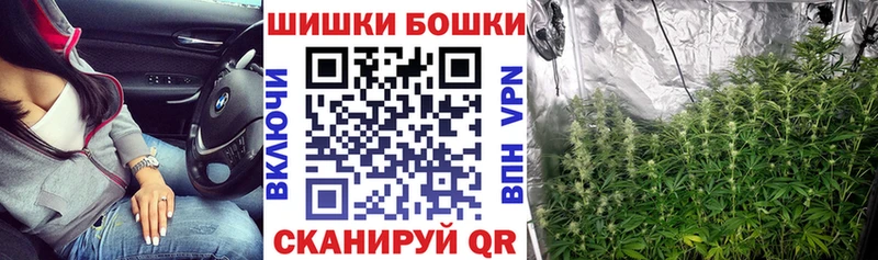 Бошки Шишки конопля  МЕГА сайт  Кораблино 
